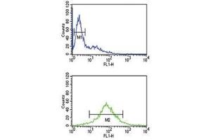 EZH2 antibody flow cytometric analysis of Jurkat cells (bottom histogram) compared to negative control cells (top histogram).