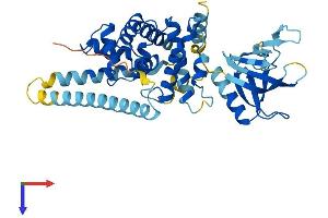 AlphaFold protein structure predicition of Human Recombinant CYTH3 Protein, UniprotID O43739