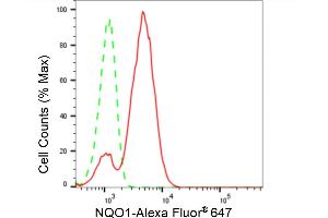 Flow cytometric analysis of NQO1 expression in HT- cells using NQO1 antibody (ABIN7800954), 1:2,000). (Recombinant NADH Quinone Dehydrogenase 1 anticorps)