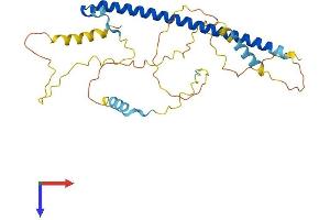 AlphaFold protein structure predicition of Human Recombinant AP1AR Protein, UniprotID Q63HQ0
