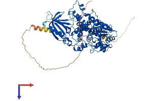 AlphaFold protein structure predicition of Mouse Recombinant Mtmr2 Protein, UniprotID Q9Z2D1