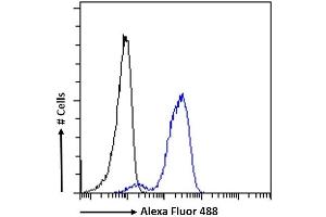 (ABIN1589997) Flow cytometric analysis of paraformaldehyde fixed Jurkat cells (blue line), permeabilized with 0.
