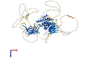 AlphaFold protein structure predicition of Human Recombinant PACS2 Protein, UniprotID Q86VP3