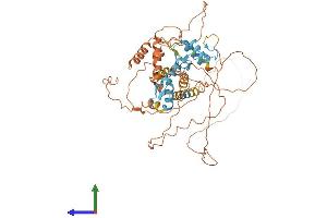 AlphaFold protein structure predicition of Human Recombinant ZBTB18 Protein, UniprotID Q99592