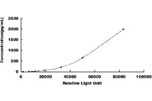 ELISA image for Plasminogen Activator Inhibitor 1 (SERPINE1) CLIA Kit (ABIN492021)