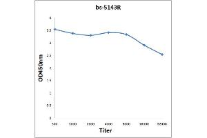 Antigen: 0. (DP1 anticorps)
