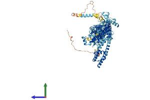 AlphaFold protein structure predicition of Mouse Recombinant Trpc7 Protein, UniprotID Q9WVC5