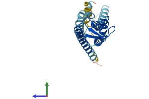AlphaFold protein structure predicition of Human Recombinant GJB2 Protein, UniprotID P29033