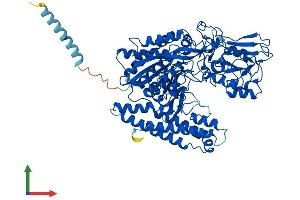 AlphaFold protein structure predicition of Human Recombinant NAALADL1 Protein, UniprotID Q9UQQ1