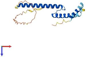 AlphaFold protein structure predicition of Human Recombinant TWIST2 Protein, UniprotID Q8WVJ9