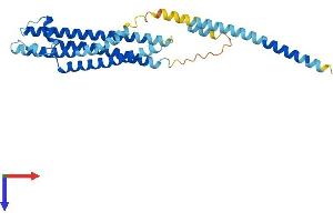 AlphaFold protein structure predicition of Mouse Recombinant Stx3 Protein, UniprotID Q64704