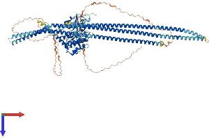 AlphaFold protein structure predicition of Mouse Recombinant Taok1 Protein, UniprotID Q5F2E8