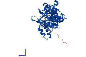 AlphaFold protein structure predicition of Mouse Recombinant Pgp Protein, UniprotID Q8CHP8