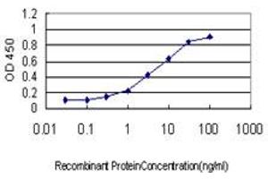 Detection limit for recombinant GST tagged MEOX2 is approximately 0. (MEOX2 anticorps  (AA 1-303))