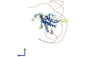 AlphaFold protein structure predicition of Mouse Recombinant Nap1l3 Protein, UniprotID Q794H2