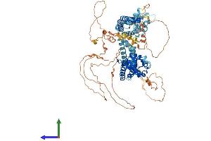 AlphaFold protein structure predicition of Mouse Recombinant Kcnc3 Protein, UniprotID Q63959