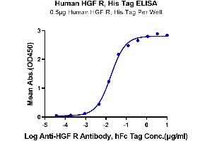 Immobilized Human HGF R, His Tag at 5 μg/mL (100 μL/Well) on the plate.