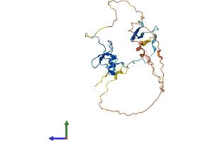 AlphaFold protein structure predicition of Human Recombinant ZGLP1 Protein, UniprotID P0C6A0