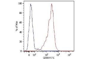 Surface staining of human peripheral blood cells with anti-human CD98 (MEM-108) FITC.
