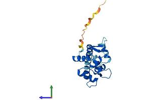 AlphaFold protein structure predicition of Human Recombinant CETN1 Protein, UniprotID Q12798