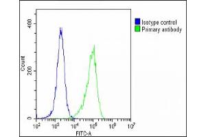 Overlay histogram showing Hela cells stained with (ABIN1881847 and ABIN2838812)(green line).