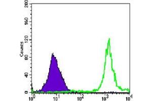 Flow cytometric analysis of Jurkat cells using anti-PARP mAb (green) and negative control (purple). (PARP1 anticorps)