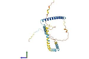 AlphaFold protein structure predicition of Mouse Recombinant Tpd52 Protein, UniprotID Q62393