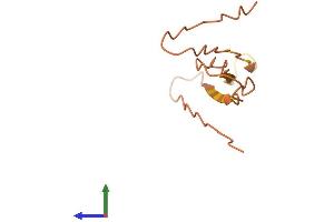 AlphaFold protein structure predicition of Human Recombinant LINC01587 Protein, UniprotID Q99440