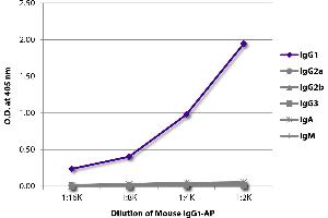 ELISA plate was coated with Goat Anti-Mouse IgG1, Human ads-UNLB was captured and quantified.