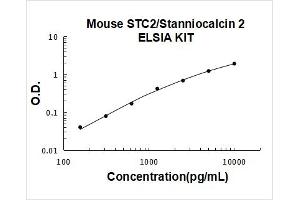 Stanniocalcin 2 (STC2) ELISA Kit