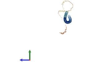 AlphaFold protein structure predicition of Human Recombinant NUP62CL Protein, UniprotID Q9H1M0