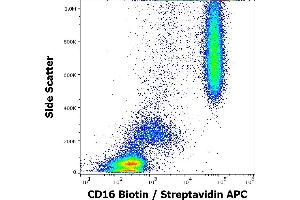Flow cytometry surface staining pattern of human peripheral whole blood stained using anti-human CD16 (MEM-154) Biotin antibody (concentration in sample 0,6 μg/mL, Streptavidin APC). (CD16 anticorps  (Biotin))