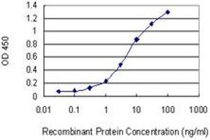 Detection limit for recombinant GST tagged CDS1 is 0.
