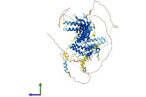 AlphaFold protein structure predicition of Mouse Recombinant Cc2d1b Protein, UniprotID Q8BRN9