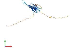 AlphaFold protein structure predicition of Human Recombinant HSPB9 Protein, UniprotID Q9BQS6