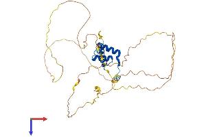 AlphaFold protein structure predicition of Human Recombinant HOXD9 Protein, UniprotID P28356