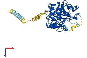 AlphaFold protein structure predicition of Human Recombinant ST3GAL1 Protein, UniprotID Q11201