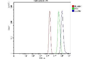 Flow Cytometry analysis of C6 cells using anti-Claudin 2/CLDN2 antibody (ABIN7603035). (Claudin 2 anticorps  (Middle Region))