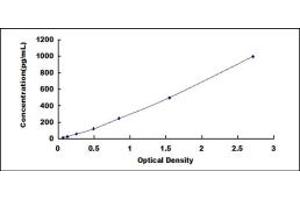 Typical standard curve (CRHBP Kit ELISA)
