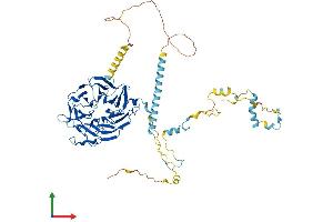 AlphaFold protein structure predicition of Human Recombinant WDR70 Protein, UniprotID Q9NW82
