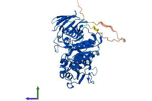 AlphaFold protein structure predicition of Human Recombinant PNKP Protein, UniprotID Q96T60