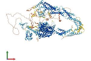 AlphaFold protein structure predicition of Mouse Recombinant Kdm5d Protein, UniprotID Q62240