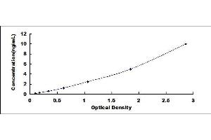 ELISA image for Uromodulin (UMOD) ELISA Kit (ABIN436598)