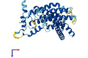AlphaFold protein structure predicition of Mouse Recombinant Sgpp2 Protein, UniprotID Q810K3