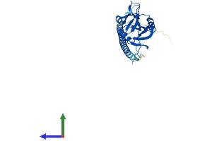 AlphaFold protein structure predicition of Human Recombinant CLEC1B Protein, UniprotID Q9P126
