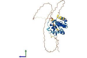 AlphaFold protein structure predicition of Human Recombinant SPDYA Protein, UniprotID Q5MJ70