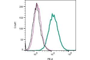 Cell surface detection of Leptin Receptor by indirect flow cytometry in live intact mouse J774 macrophage cell line: + goat-anti-rabbit-PE. (Leptin Receptor anticorps  (Extracellular))