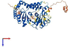 AlphaFold protein structure predicition of Human Recombinant CDADC1 Protein, UniprotID Q9BWV3