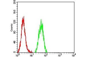 Flow cytometric analysis of Hela cells using SALL4 mouse mAb (green) and negative control (red). (SALL4 anticorps  (AA 96-359))