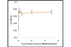 Activity Assay (AcA) image for Tumor Necrosis Factor Receptor Superfamily, Member 10b (TNFRSF10B) (Active) protein (ABIN5509507)